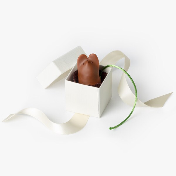 Thumbnail image for Milk Chocolate Mouse Favor
